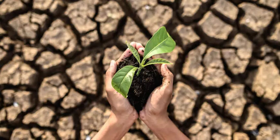 Holding soil in both the hands where the soil is dry.