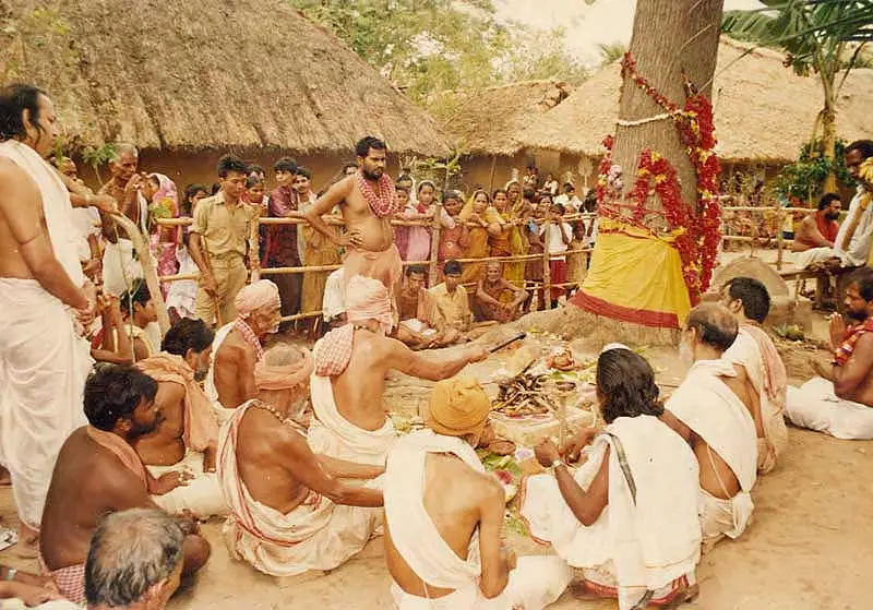 Cutting and Shaping of the Daru